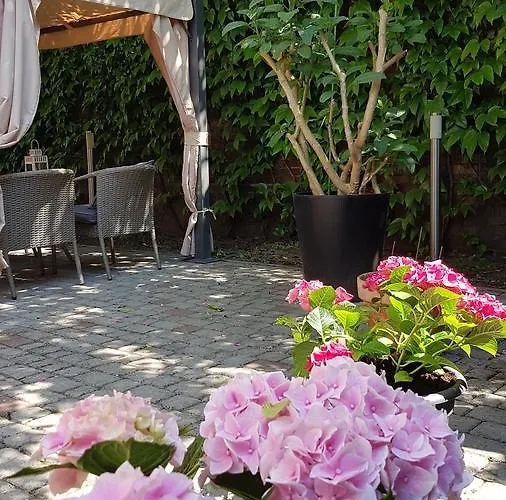 Melodia Accommodatie bij particulieren *